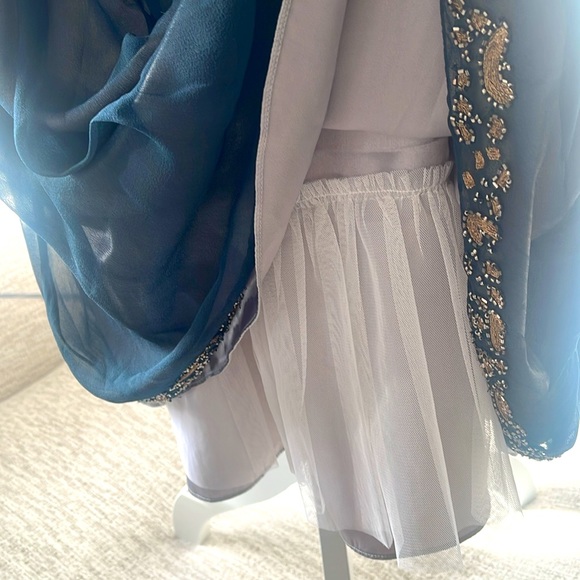 Sachin+ Babi dress size 6. - Picture 6 of 8